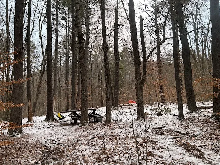 Allaben Campground 8