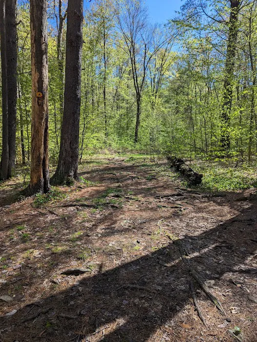 Allaben Campground 2