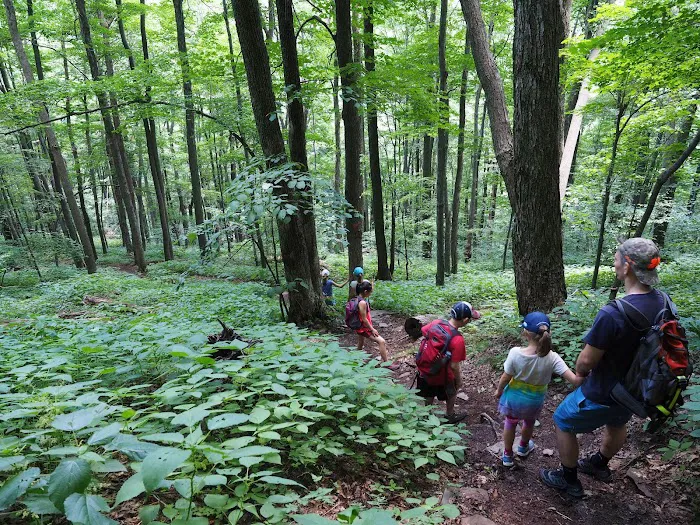 Devils Tombstone Campground 5