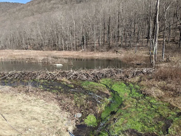 Devils Tombstone Campground 4