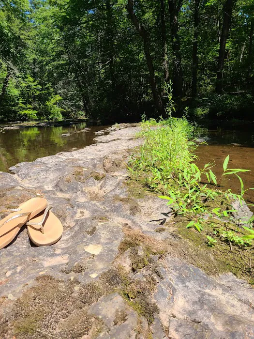 Rip Van Winkle Campgrounds Inc 5