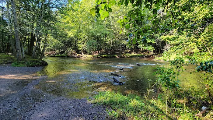 Rip Van Winkle Campgrounds Inc 8