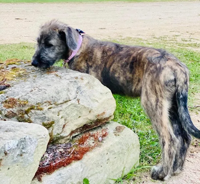 HITS-on-the-Hudson RV Parking Entrance 9