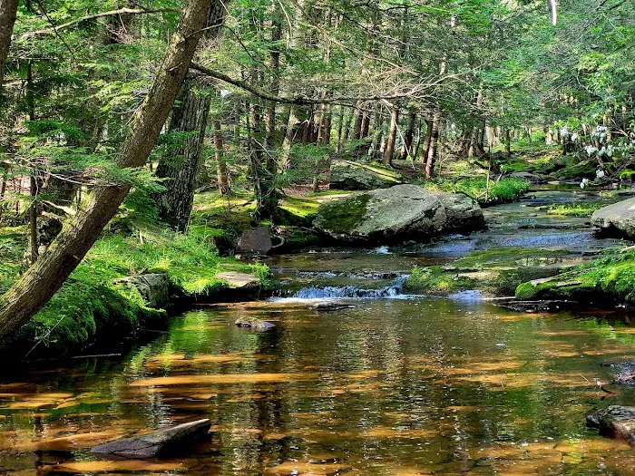 North/South Lake Campground 6