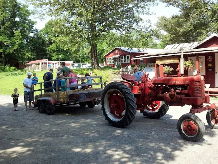 Brook n Wood Family Campground 5