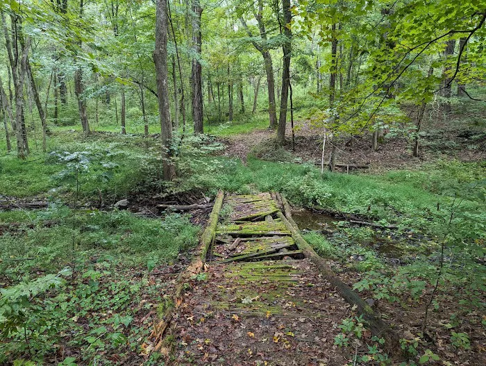 Lake Taghkanic State Park Campground 8