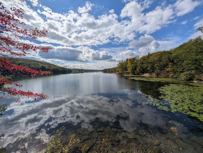 Lake Taghkanic State Park Campground 6