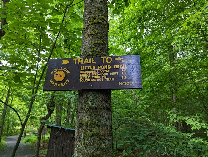 Little Pond Campground 8