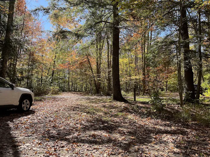 Little Pond Campground 7