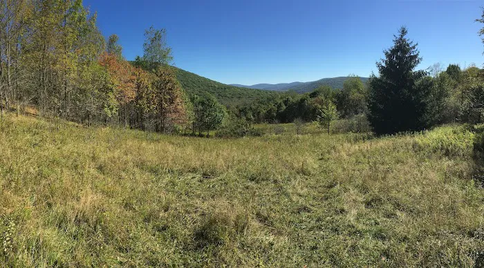 Little Pond Campground 5