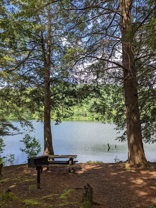 Little Pond Campground 0