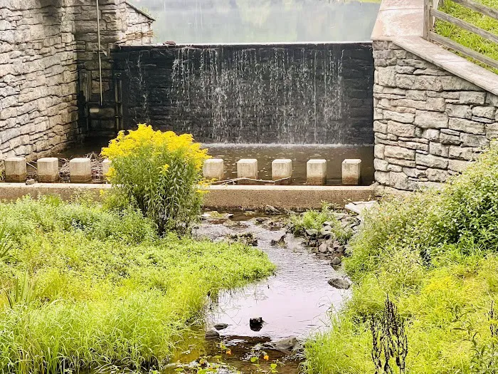 Little Pond Campground 6