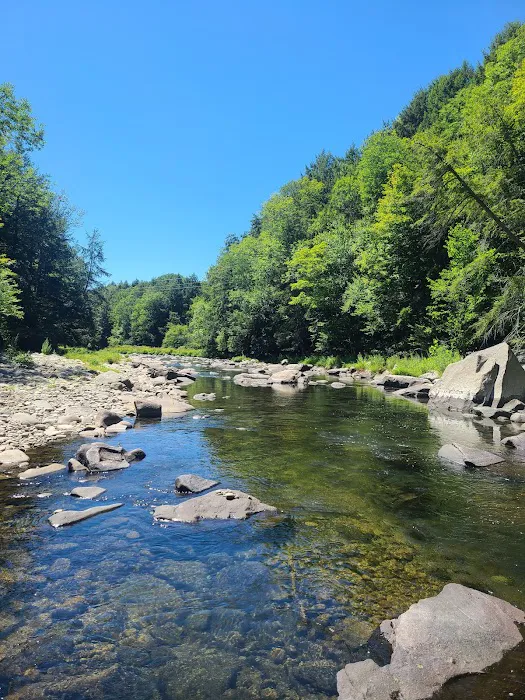 Beaverkill Campground 3