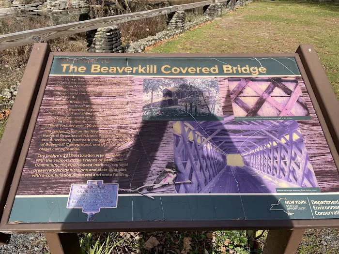 Beaverkill Campground 8