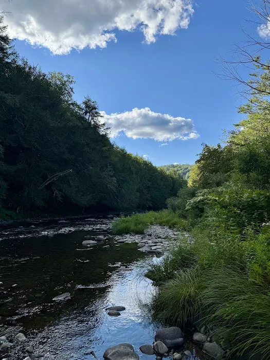 Beaverkill Campground 6