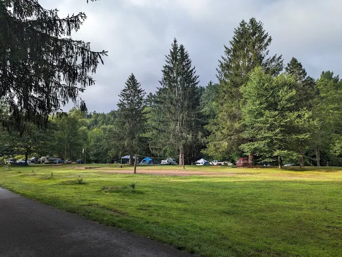 Beaverkill Campground 5