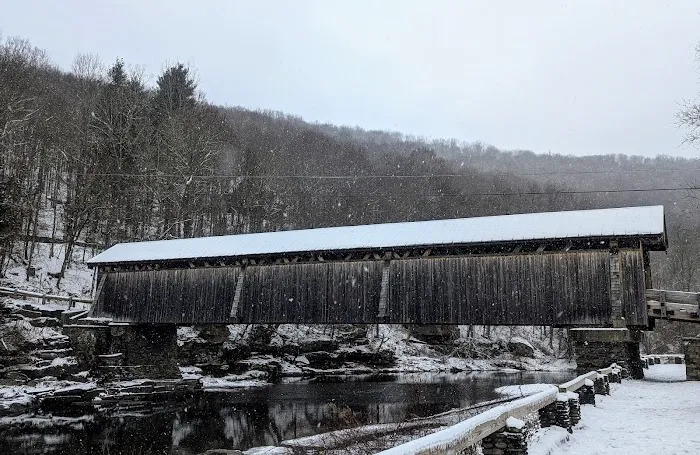 Beaverkill Campground 4