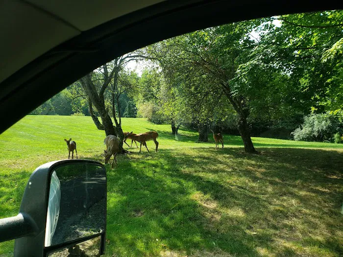12penny Saloon Gay Campground 5
