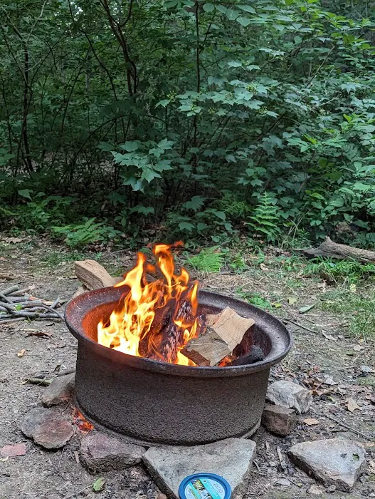 The Loose Caboose Campground 8