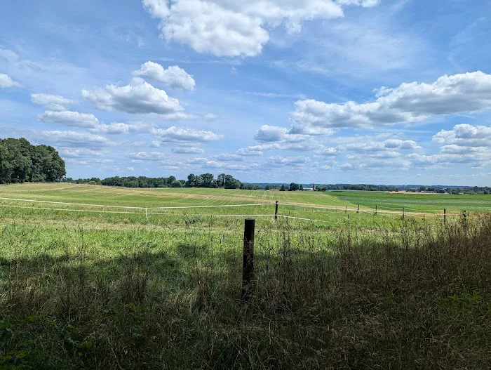 The Loose Caboose Campground 6