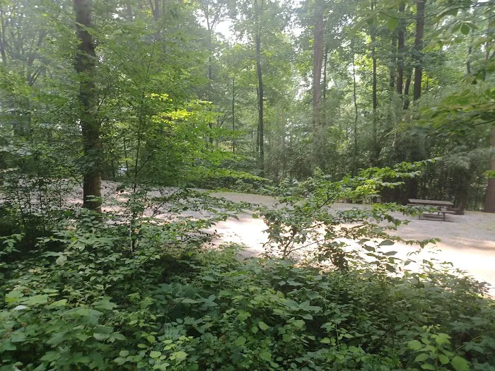 The Loose Caboose Campground 5