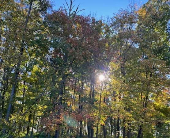 Sill's Family Campgrounds