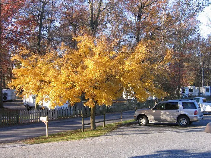 Red Run Resort & Campground 3