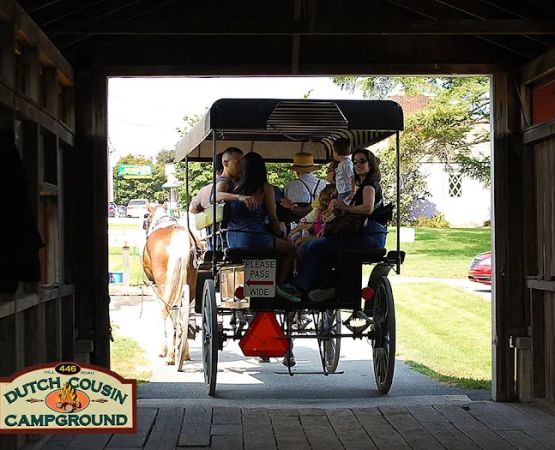 Dutch Cousin Campground