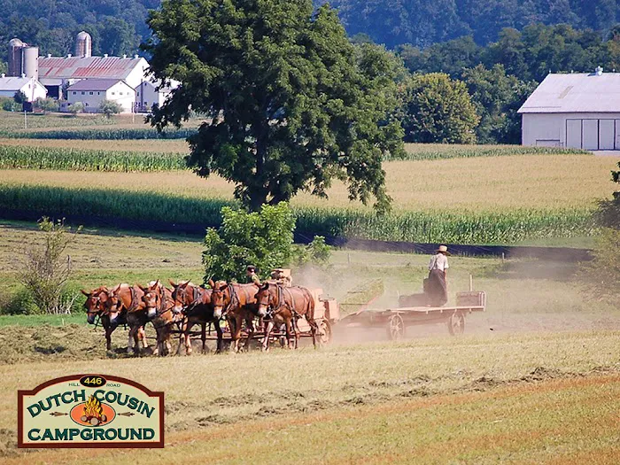 Dutch Cousin Campground 1