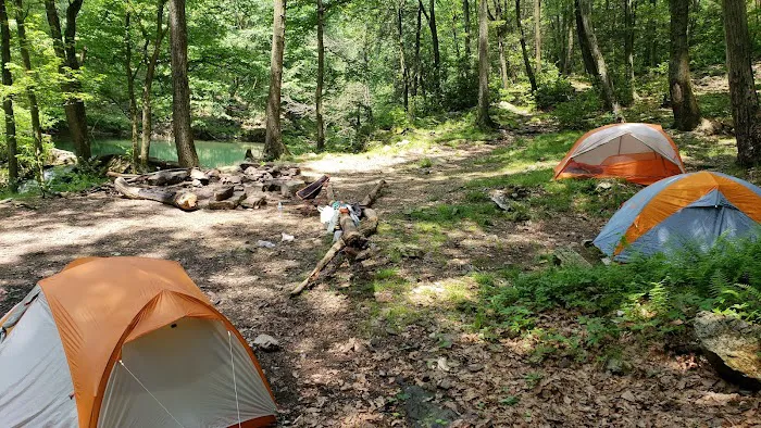 Hertlein Campsite 8