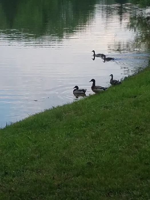 Ideal Park Campground 6