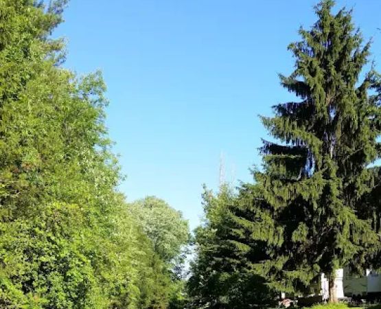 Ideal Park Campground