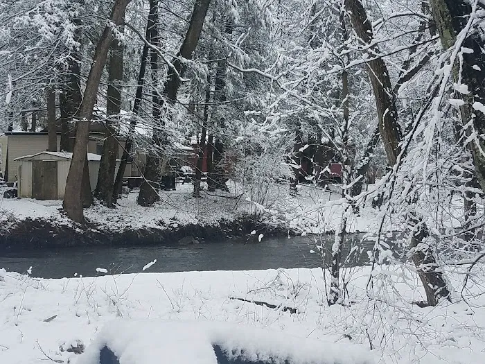 Shady Creek Campground 2