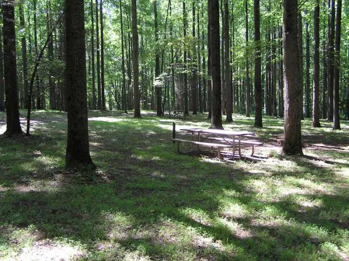 Lake Glory Campground 7