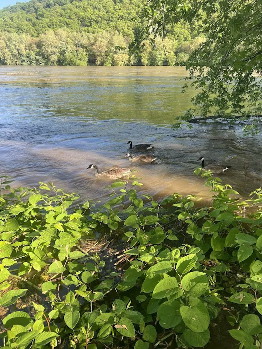 Dockside Campground 2