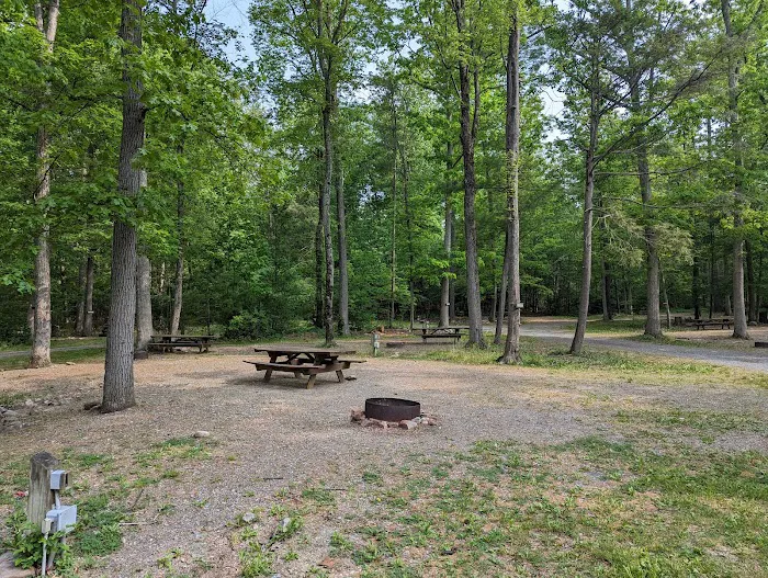 Camp Swatara Family Camp 8