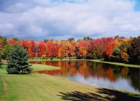 Whispering Pines Camping Estates 8