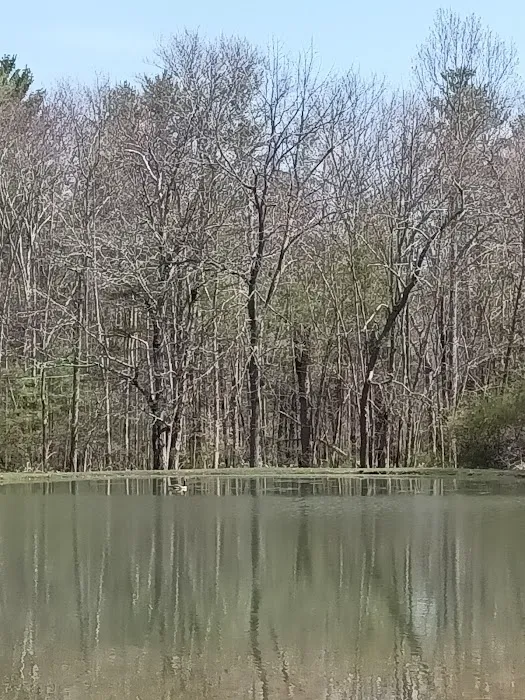 Whispering Pines Camping Estates 9