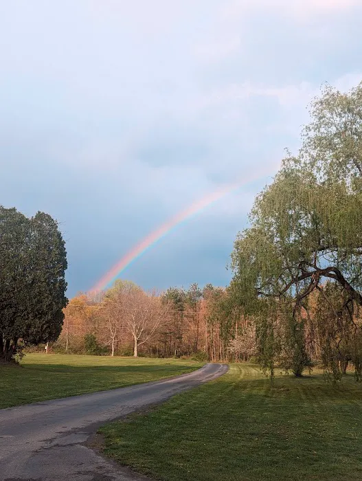 Wanna Ruf It Campground 8