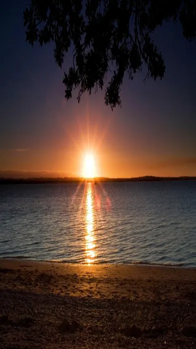 Rockledge Terrace dr 0