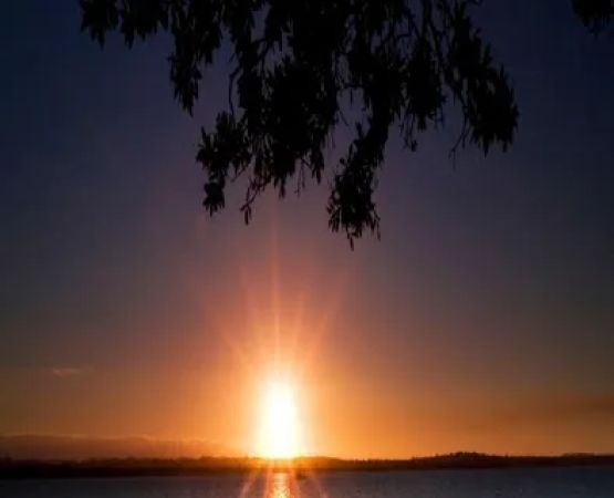 Rockledge Terrace dr