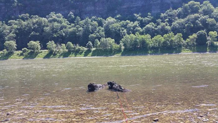 Susquehanna Shores Campground 1