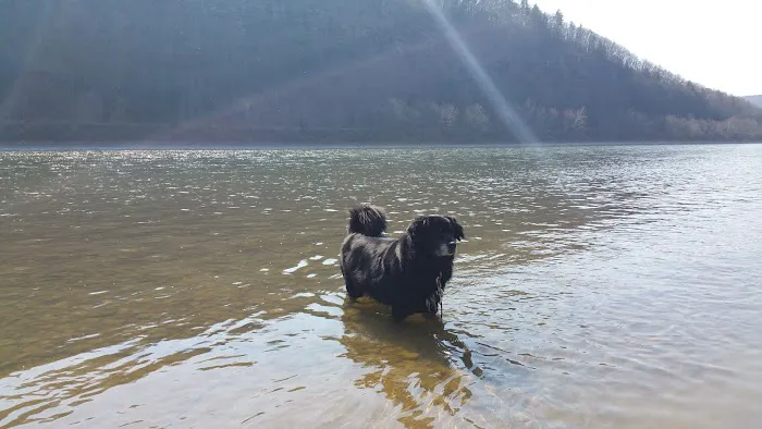 Susquehanna Shores Campground 0