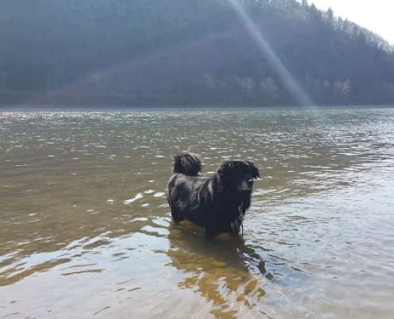 Susquehanna Shores Campground