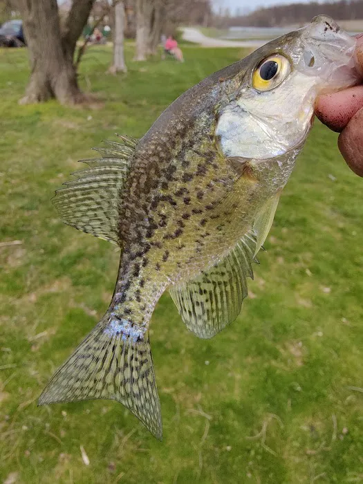 How Kola Campground 6