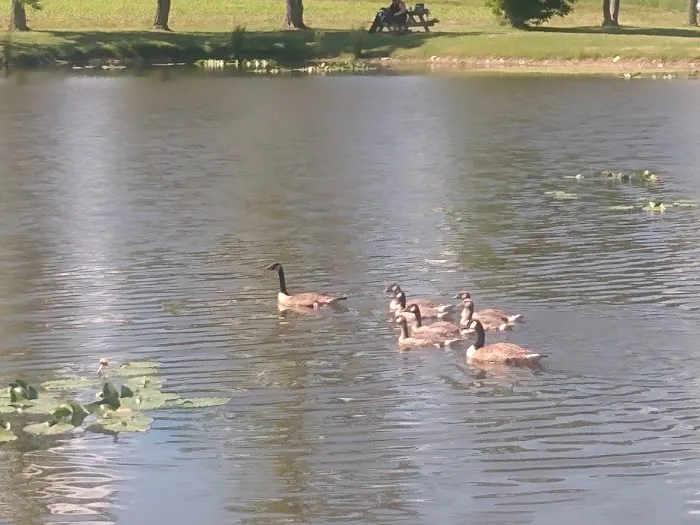 How Kola Campground 1