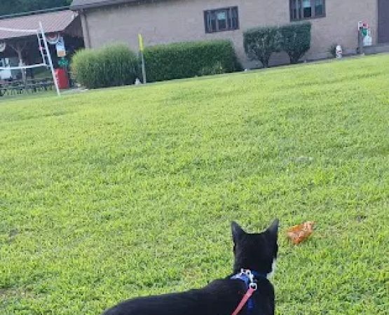 Onawandah Private Campground