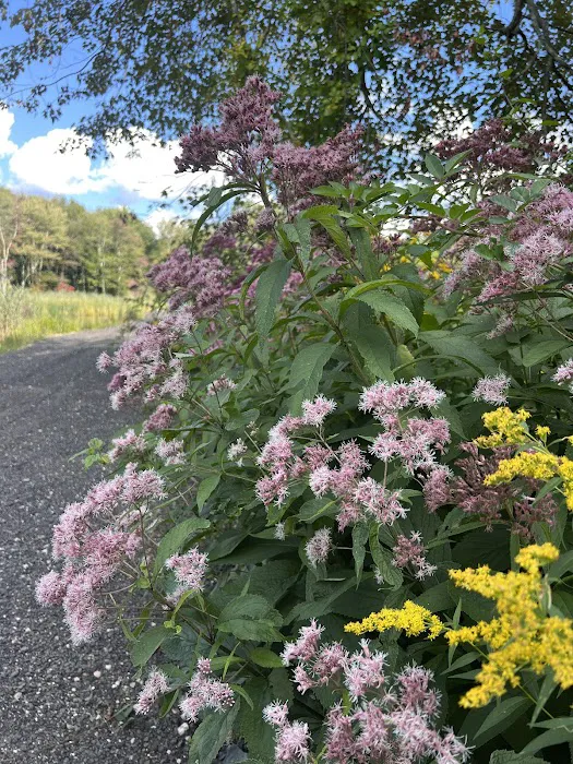 Skyridge Trails Campground 2