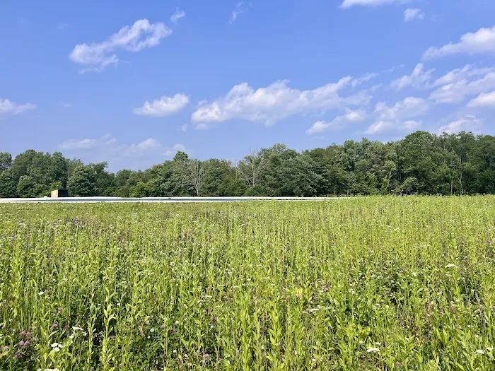 Skyridge Trails Campground 6