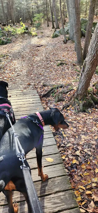 Black Rock State Park Campground 0